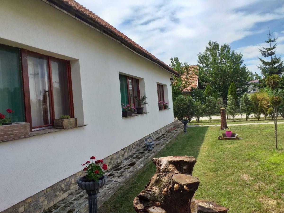 Vila Stasa Rooms Palić Zewnętrze zdjęcie